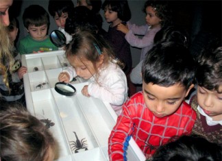 Minikler yeni yıla müzede girdi