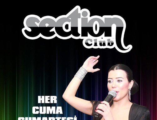 Pınar Özkan Section’da