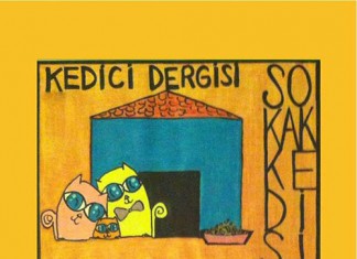 Sokak Kedisi Şenliği