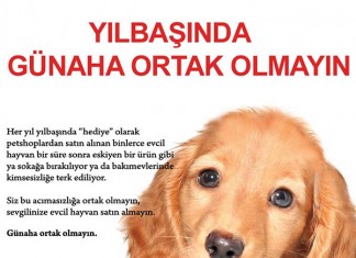 Günaha Ortak Olmayın