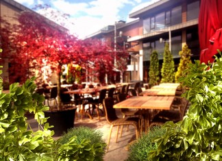 Bu bahçe de Ala’lı geceler var