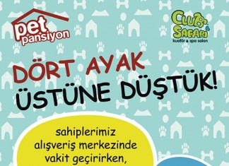 Hayvanseverlere Müjdeli Haber