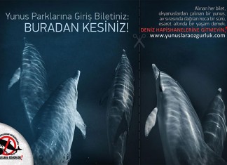 Yunuslara Özgürlük