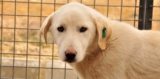 Küpem var aşım var, tek eksiğim sıcak bir yuva…