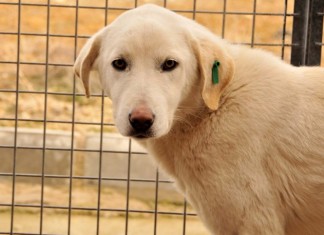 Küpem var aşım var, tek eksiğim sıcak bir yuva…