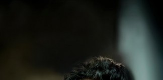 Gökhan Tepe Armada’da