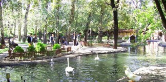 Sanatçılar Kuğulu’da