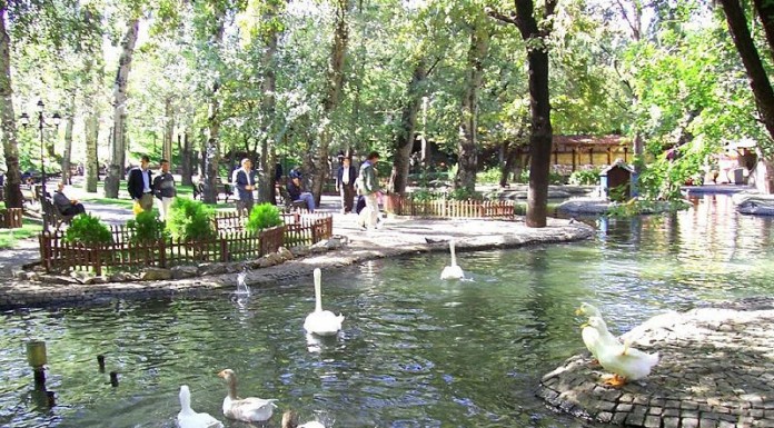 Sanatçılar Kuğulu’da