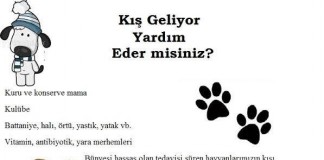 Kışa Hazırlanma Zamanı…