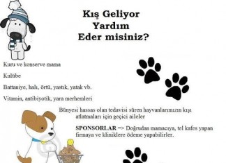 Kışa Hazırlanma Zamanı…