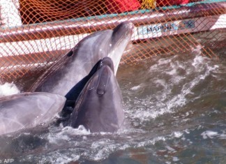 “Onlar Aslında Gülümsemiyor”