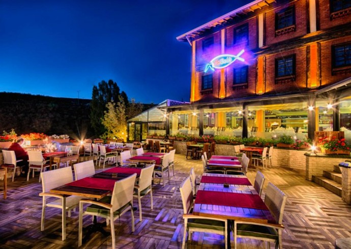 1507730_1479151215682765_1567370317708419044_n