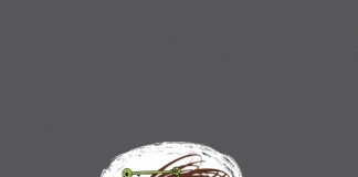 Samsung Geleceğin Mucitlerini Arıyor