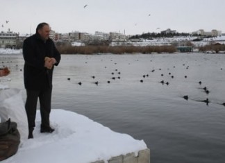 Mogan Kuşları İçin Bayat Ekmek Toplama Kampanyası