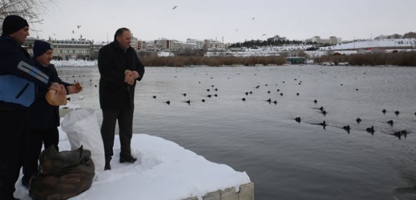 mogan-kuslarina-ekmek-kampanyasief43e03858c263e2cf32