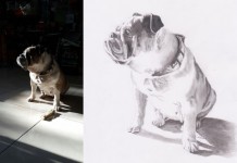 Hayvan Dostlarınızı Portreyle Ölümsüzleştirin