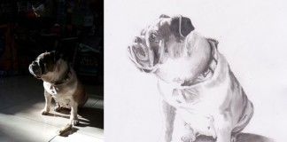 Hayvan Dostlarınızı Portreyle Ölümsüzleştirin