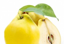 Kış Hastalıklardan Korunmak İçin Ayva Suyu İçin