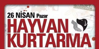 Bu Konsere Giriş Mamayla