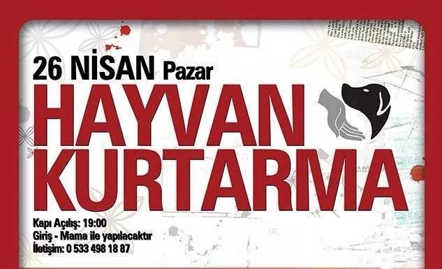 Bu Konsere Giriş Mamayla