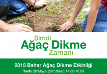 Şimdi Ağaç Dikme Zamanı