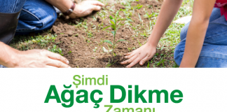 Şimdi Ağaç Dikme Zamanı