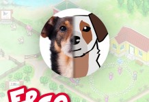 Sahipsiz Hayvanlar İçin Oyun Oynayın