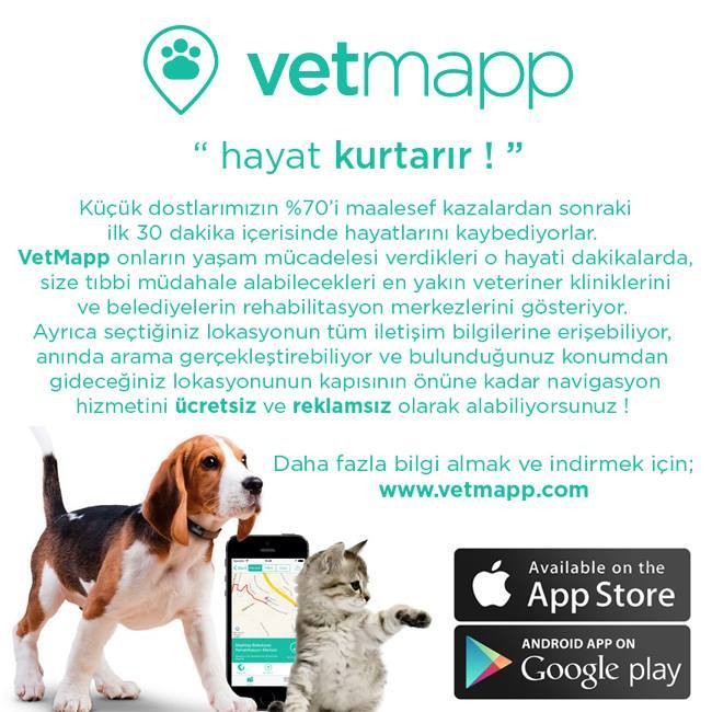 vet