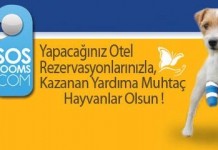 Bir Rezervasyon ile Birçok Yaşamı Kurtaracaksınız
