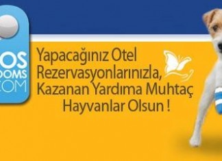 Bir Rezervasyon ile Birçok Yaşamı Kurtaracaksınız