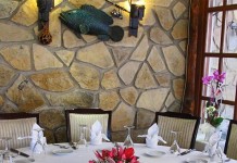 Trilye Kuleli Sokağa taşınıyor