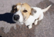 Candostları Kermeste Buluşuyor