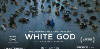 “Beyaz Tanrı” CerModern’de