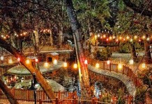 Kuğulu Park’ı Hiç Böyle Görmediniz