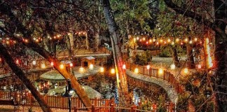 Kuğulu Park’ı Hiç Böyle Görmediniz