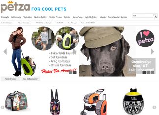 Kedinize Mama Seçerken Nelere Dikkat Etmelisiniz?