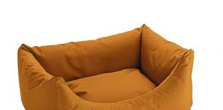 Kedi ve Köpek Yatakları Nasıl Olmalı?